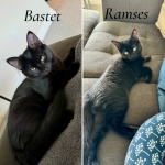 Bastet Ramses.PNG